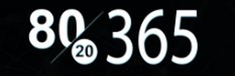 80·20·365 Success System